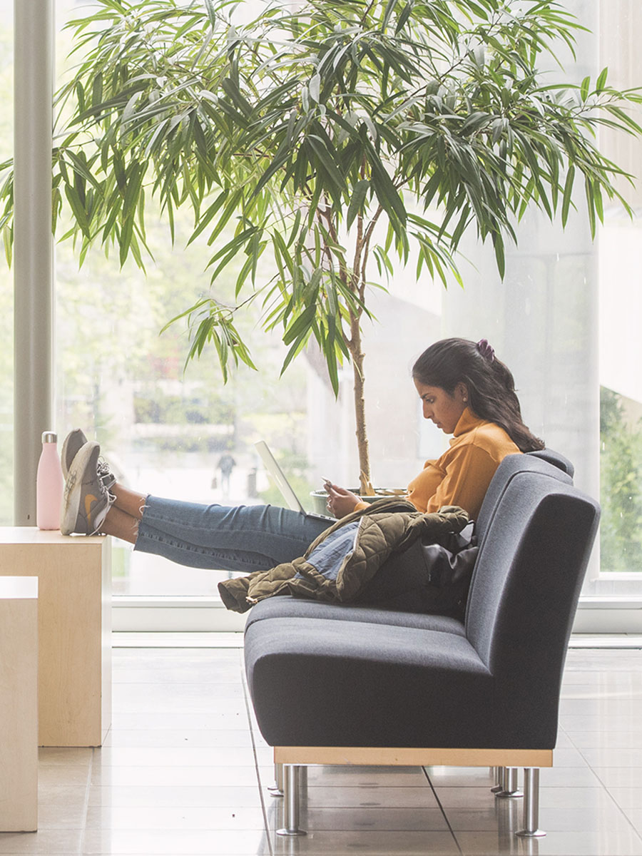 Student sitting on a couch working on a laptop