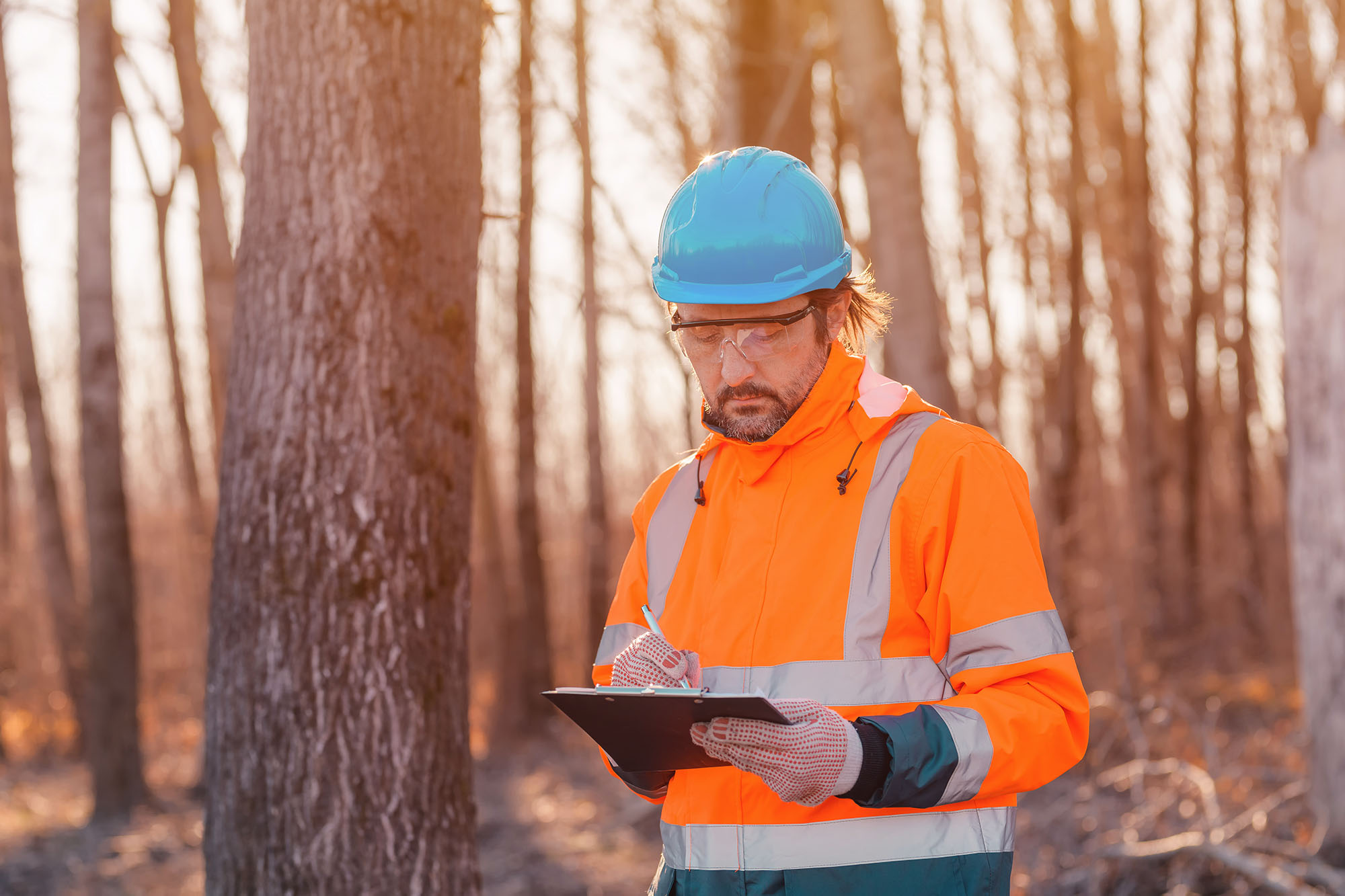 a man accessing damage after a forest fire.