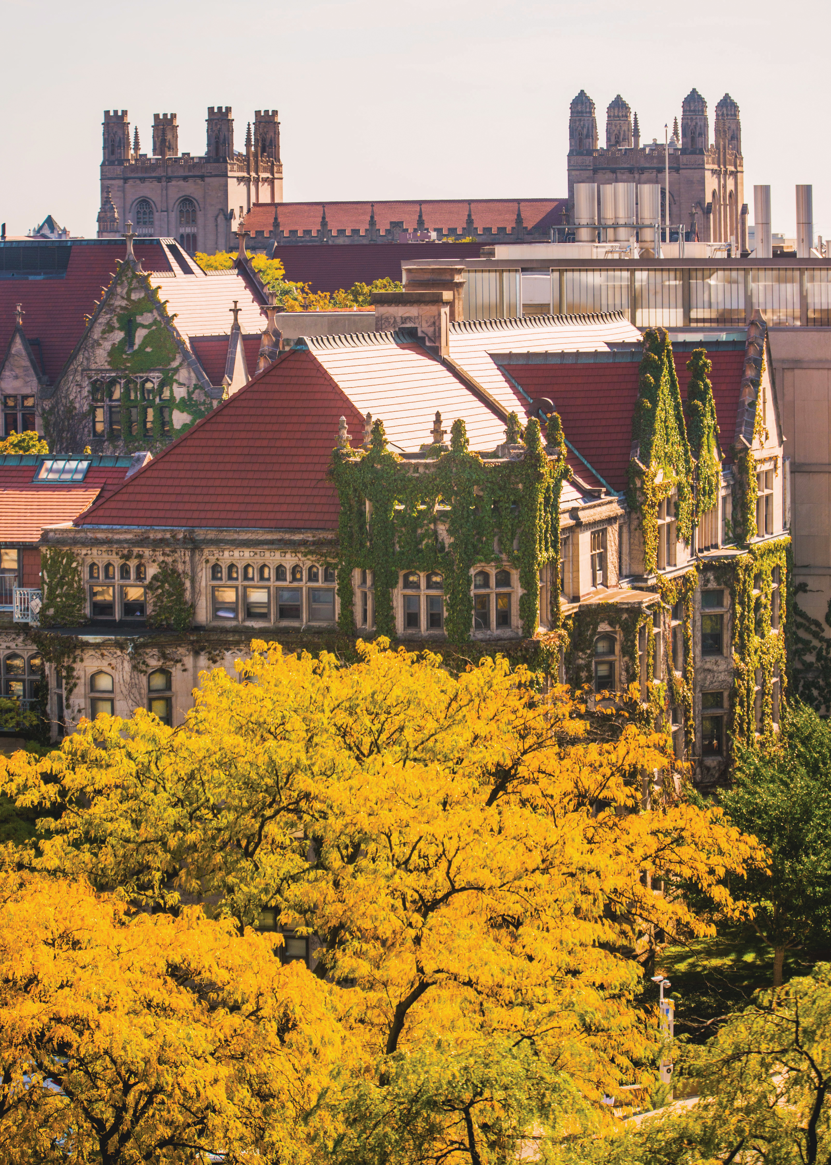 UChicago Campus in the fall