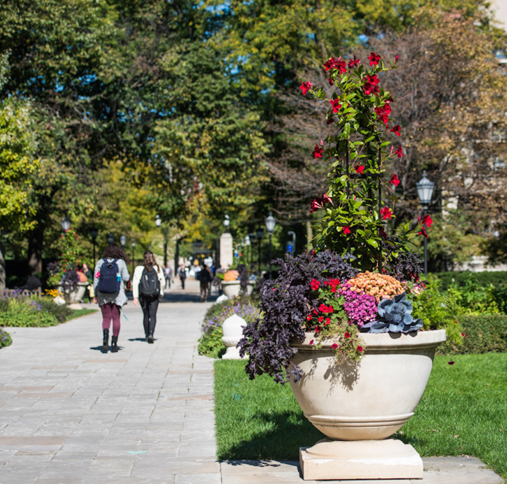 Students walking on the UChicago campus in Spring