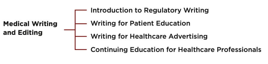 Medical Writing program routes to completion illustration.