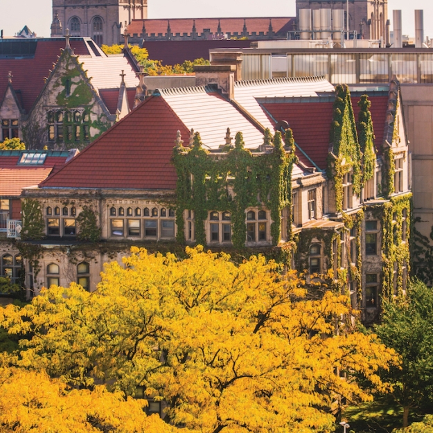 UChicago Campus in the fall.