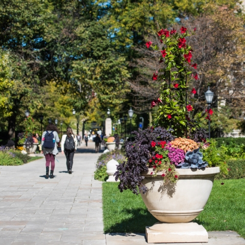 Students walking on the UChicago campus in Spring