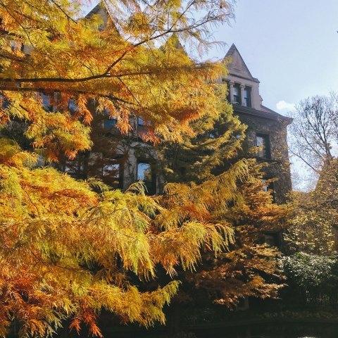 UChicago campus during fall