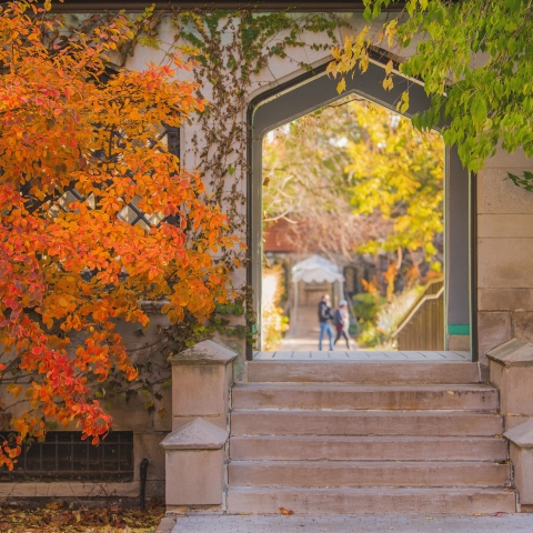 Arched walkway on UChicago campus