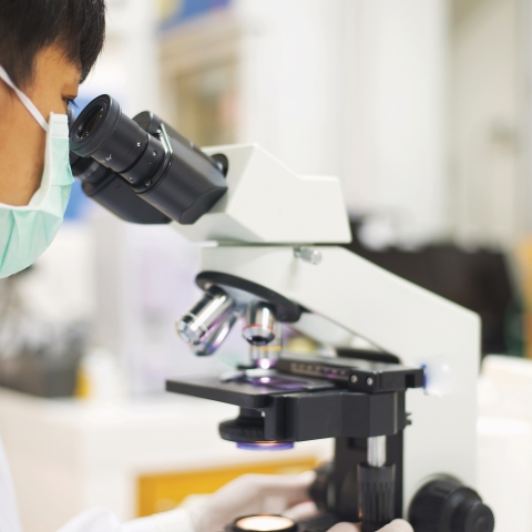 a student looks through a microscope