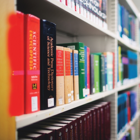 A person searching for books at a library.