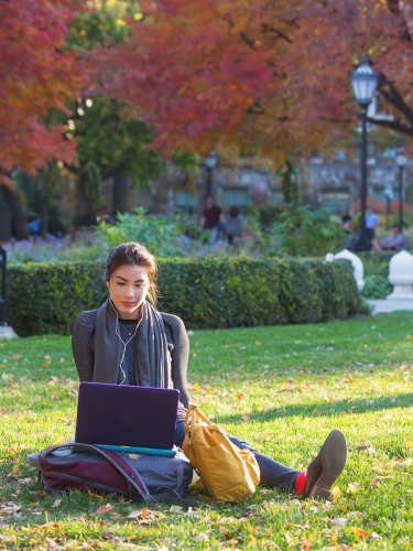 Student sitting on the grass looking at laptop