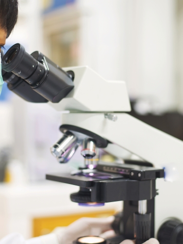 person using microscope