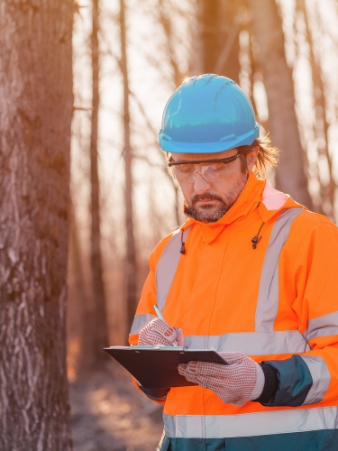a man accessing damage after a forest fire.