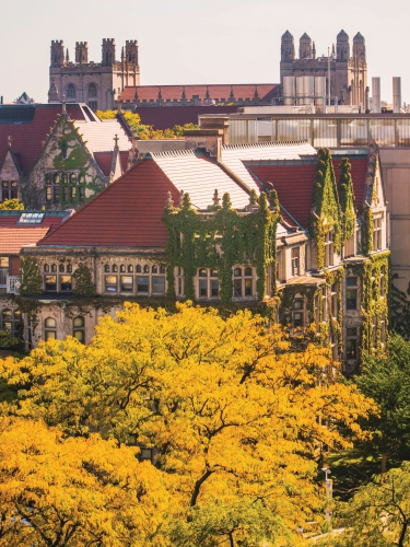 UChicago Campus in the fall