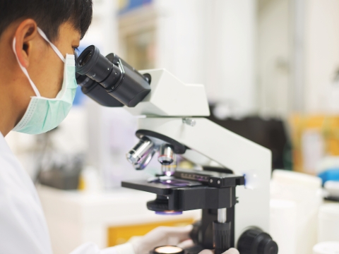 person using microscope