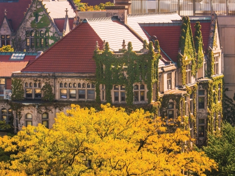 UChicago Campus in the fall