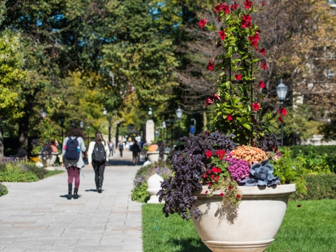 Students walking on the UChicago campus in Spring